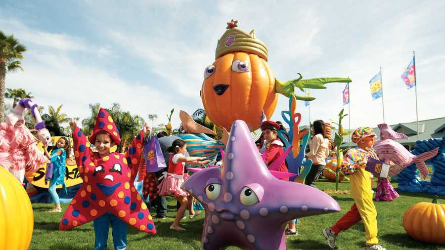 Children Having Fun With Sea Creatures At Bear's Den Resort Orlando.